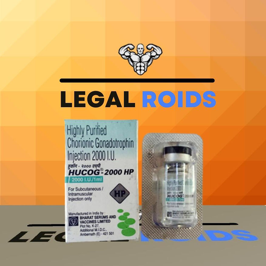Human Chorionic Goandotrophin (HCG) 2000 IU